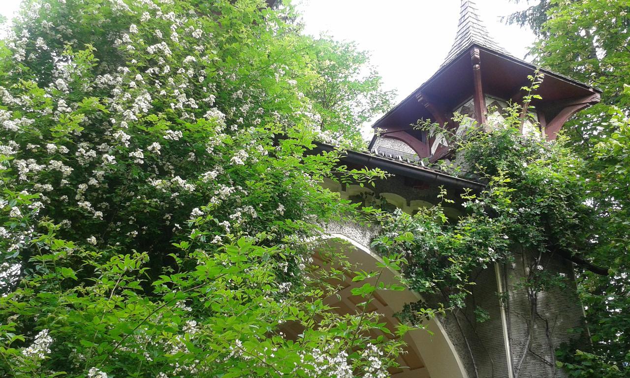 Hofbauer Villa Itter Bagian luar foto